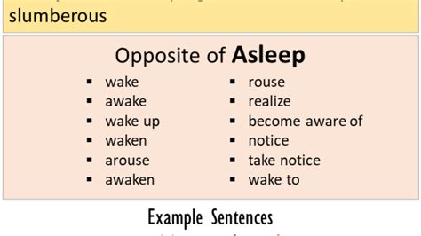 antonyms asleep|opposite word for sleep.